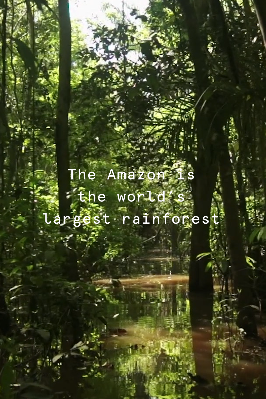 Greenpeace Greenpeace